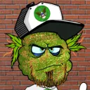 Cardano Budz