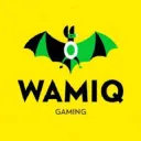 Wamiq the Great's Server (CSC)