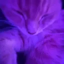 erectile dysfucktion's icon