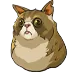 UwU