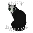 Slow Dreams
