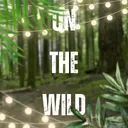 ON THE WILD Arts Games Community Server