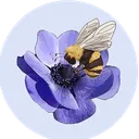 HoneyBunny's Hive