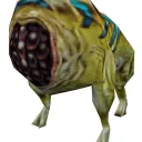 Schloobania