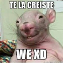 La Tiendita icon