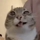 ꫀ̶