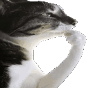 ⓔxplore