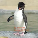 Thai Linux User Community