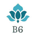B6 Allegiance