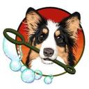 Pet Stylist Nation | DISBOARD: Discord Server List