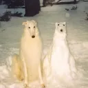 Los Hermanos