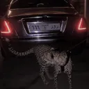 ɴɪɢʜᴛ