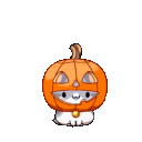 Cat Community Discord Server Icon – Art & Creative