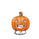 Cat Community icon