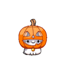 Cat Community icon