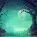 Heavenly Forest