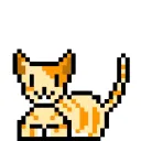 橘猫玩家公会
