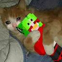 SinDvl Gamer Cult