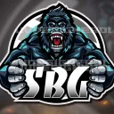 Silverbackg2021's server's icon