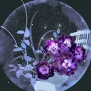 Night Blossom