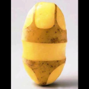 The spud buds