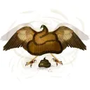 The Birdies Sanctuary