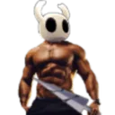 Hollow Knight Speedrunners