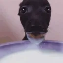 dedo no cu e pescaria