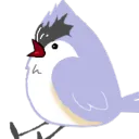 Jinx's Nest