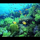 Warcraft III: Reforged Submarine Warfare