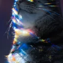 ఌ☾𝒯𝒆𝒅.𝒛𝒆 ℰ𝒓𝒆𝒏 𝒯𝒆𝒎𝒑𝒆𝒔𝒕☽ꨄ's server
