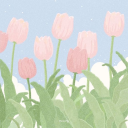 ⟡﹒churippu　 🌷﹐