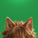 Wonders of Aether Discord Server Icon