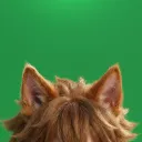 Wonders of Aether