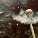 Future Farms Discord server icon