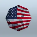 The American Octagon