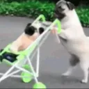 tropa do mine com mod's icon