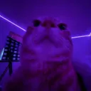 Krumble's Streaming Discord :)