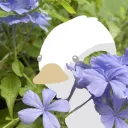 Sky Flower Village หมู่บ้านพยับหมอก