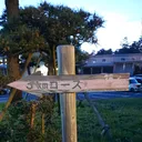 新大健康維持サークル