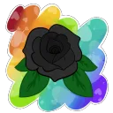 Darkness Blooms