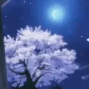 DarkNight Network's icon