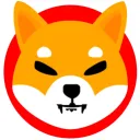 Shiba Inu