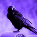 Crow's Neon City