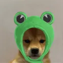 R4nD0M Pup2
