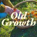🍄 \\ old growth ⤲