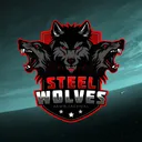 Steel Wolves Aegis Tactical
