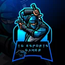 TG eSports Gamer