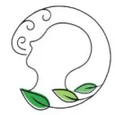 SaafSaans