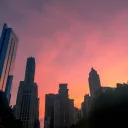  gloaming grove  Discord Server Icon